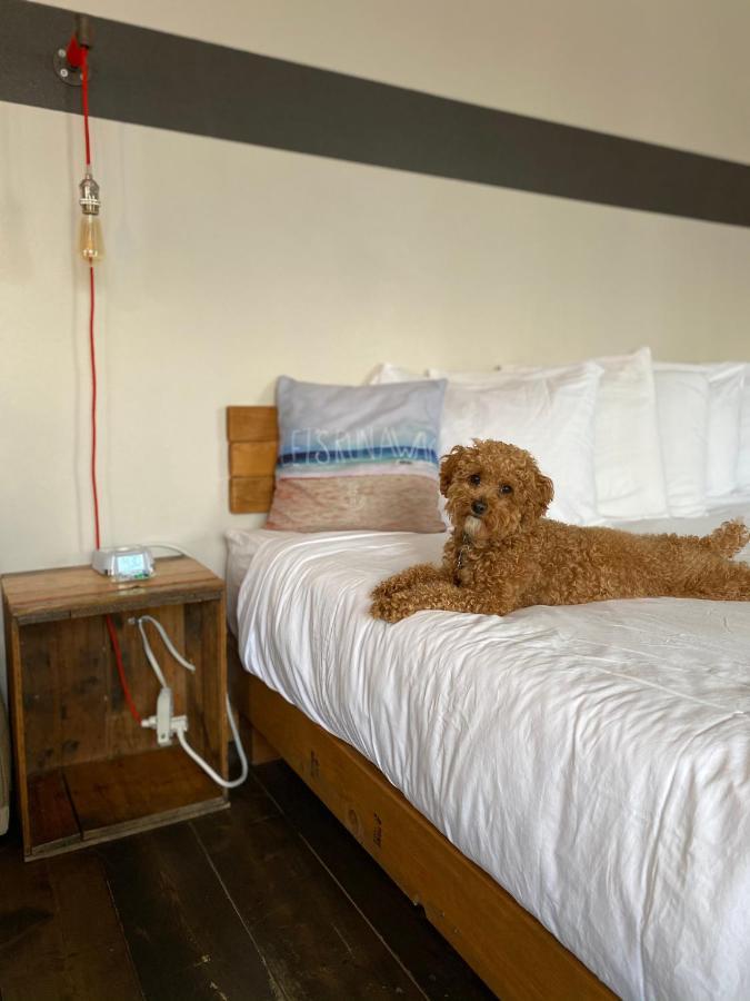 Ashore Hotel ซีไซด์ ภายนอก รูปภาพ